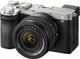 Фотоапарати Sony Alpha a7C II + 28-60mm Kit Silver (ILCE7CM2LS.CEC) - зображення 1