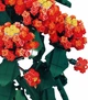 Конструктор Mega Creative Flowers 1814 елементів QZ24131 (5907414303787) - зображення 3