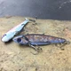 Блесна цикада CONDOR FISHING Cantana 7гр 55мм #C403 (3506_7_C403) - изображение 2
