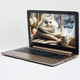 Ноутбук 15.6" Medion (Lenovo Group) Peaq S6417 Intel RAM 4 ГБ HDD 500 ГБ FullHD IPS Intel Graphics б/в Win10 (4161) - изображение 2