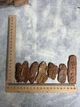 Кора сосновая голтованная (шлифованная), для орхидей, крупная фракция 1 литр - изображение 8