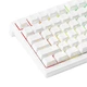 Механічна клавіатура на магнітних світчах Akko TAC75 HE, 8K, 84key, RGB, Win,Mac OS, УКР та АНГЛ, White /БІЛА (11523TA75A08102) - изображение 5