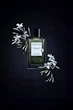 Парфюмированная вода для женщин Van Cleef & Arpels California Reverie 75 мл - изображение 3