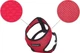 Шлейки для собак Amiplay Scout Air L Червоні (5907563248878) - зображення 2