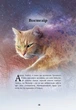 Коти - вояки. Герої Кланів. Хроніки Зореклану - Е. Гантер (9786178387907) - изображение 2