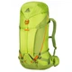 Рюкзак Gregory Alpine Alpinisto 35 LG Green Lichen (1053-86993/6059) - зображення 1