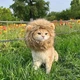 Шапка Грива льва для котов Размер S Podarkus DK038-S - изображение 6