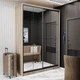 Шкаф купе двухдверный LOFT (120.1х45х220) Дуб крафт серый зеркала - изображение 1