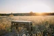 Раскладной стол Tribe Camp Table Low пластиковый оливковый легкий прочный (T-EF-0003-olive) - изображение 2