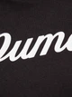 Худи женское Puma ESS+ Script Hoodie Tr 67934801 XS Черное (4099686781392) - изображение 9