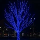 Уличная светодиодная гирлянда Нить 30 м 300 LED, черный провод, синий свет - изображение 2
