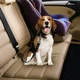 Ремінь безпеки для собак в авто DogCarBelt, чорний - зображення 3