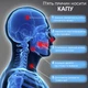 Капа для боксу мма боксерів бокс боксерська капи GDragon Sport з термопластика двошарова однощелепна для зубів єдиноборств кікбоксингу тайського боксу тхеквондо карате хокею на зуби спортсменів професійна силіконова спортивна Чорна 1_3_L_1 - зображення 4