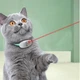 Лазерный ошейник для кошек 5В 1А Laser Collar USB 310 х 34 мм 2 режимы с постоянным и мерцающим светом, PC/TPU. - изображение 3