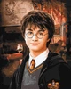 Картина за номерами Ideyka WB Harry Potter: Вітальня Ґрифіндору 40х50 см (KHO8708) - зображення 1