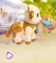 Інтерактивна іграшка FURREAL – КОРІВКА МЕГГІ - изображение 6