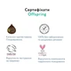 Підгузки Offspring трусики Розмір XXL (15-23 кг) 24 шт., Підводний світ (9355465009077) (DP-OI-FAP-XXL24P-AQT) - зображення 8