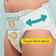 Підгузки Pampers Active Baby Розмір 6 (Extra Large) 13-18 кг 128 шт (8006540032688) - изображение 7
