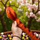 Змея на радиоуправлении на батарейках в коробке MIC (7707) (270157) - изображение 2