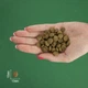 Сухий корм для стерилізованих котів BRAVERY Salmon Adult Cat Sterilized з лососем 600 г - зображення 2