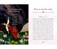 Карты Оракул Время года ведьмы Литы - Seasons of the Witch. Litha Oracle. Rockpool Publishing - изображение 4