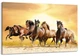 Картина на холсте Art Dekors Свободные Кони 80x120 см MLP 257 - изображение 1