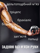 Гироскопический кистевой тренажор GURO BALL еспандер для кистей пальцев рук запястья Art Planet черный + пружинный кистевой эспандер в подарок - изображение 2