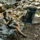 Стілець складаний ультралегкий Naturehike Stellaluna L04 CNK2450JJ015, розмір М, алюміній, сірий - изображение 6