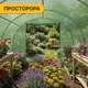 Садовая теплица парник LEOBRO усиленная Garden 18м2 Green (LB-G107-GRN) - изображение 8
