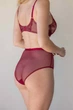 Трусики сліп Kleo 6(2XL) Бордовий (130296) - зображення 3