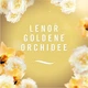 Спрей-освіжувач для дому, текстилю і тканин Febreze Fabric Refresher Spray Limited Edition Goldene Orchidee , 500 мл - зображення 14