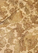 Кофейная штора шириной 1,50 м. Высота 2,60 м (АN - 328-04) - изображение 6