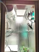Гроубокс mini.Grow box стелс Quantum Board 120w с автообогревом и автополивом. - изображение 6