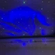Міні RGB динамічний світлодіодний проєктор із зеленим лазером, зоряне небо - Уцінка - зображення 3