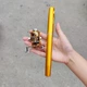Портативная удочка-ручка на подарок Карманный спиннинг с леской и крючками для ловли рыбы в любых условиях - изображение 4