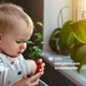 Успокаивающий гель для купания Chicco Baby Moments Без слез с экстрактом мальвы и глицерином 500 мл (10582.00) (8058664138357) - изображение 3