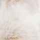 Килим HOMLA Alder зі штучного хутра 60x90 см Світло-бежевий 229917 (5906496704840) - зображення 3