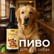 Пиво для собак со вкусом индейки, 0.33 л, MODES - изображение 2