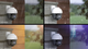 КАМЕРА IP WI-FI PTZ 5MP TENDA RH7L-WCA З ПАНОРАМНИМ ОГЛЯДОМ 360° - изображение 3