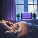 Комплект из 2 электрических сменных лампочек LZD T5 F8W G5 для уничтожения мух - изображение 4