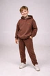 Детский утепленный спортивный костюм с вышивкой oversize Коричневый 128/134 Malwel 333103 - изображение 1
