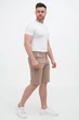 Шорты классические Trend Collection 101-1 Кэмел (CAMEL) 3XL - изображение 3