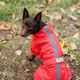 Комбінезон для собак Pet Fashion Rain M2 Червоний (PR242566) - зображення 3