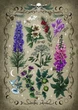 Puzzle Ravensburger Toxic Plants 1000 elementów (4005555007814) - obraz 2