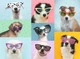 Пазл Ravensburger Funny Dogs XXL 150 елементів (4005556132881) - зображення 2