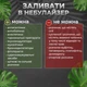 Ингалятор для детей и взрослых ультразвуковой Nebulizer портативный бесшумный мини Небулайзер насадка и батарейки PAVLYSH I9 - изображение 9