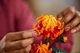 Конструктор LEGO Icons Botanicals Хризантема 278 шт для 18+ (10368) - изображение 8