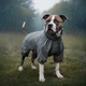 Дощовик для собак WAUDOG Clothes водонепроникний L55 В 77-79 см С 50-55 см сірий - изображение 4