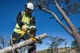 Пила цепная аккумуляторная 18В шина 30см 3/8" без АКБ и ЗП DeWALT 000326801 - изображение 5