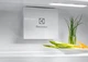 Встраиваемый холодильник Electrolux ERD6DE18S4 - изображение 4